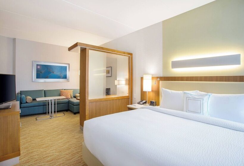 هتل Springhill Suites By Marriott Mount Laurel