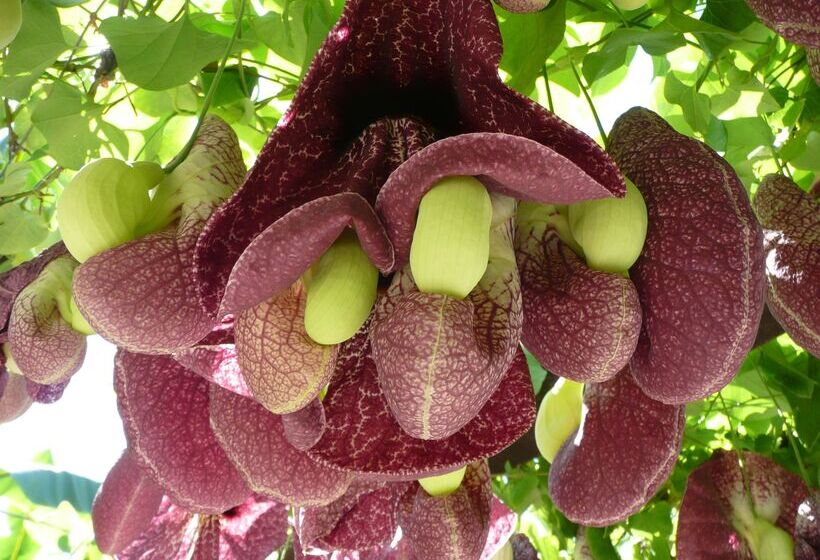 ホテル St.george S Bay Country Club & Spa