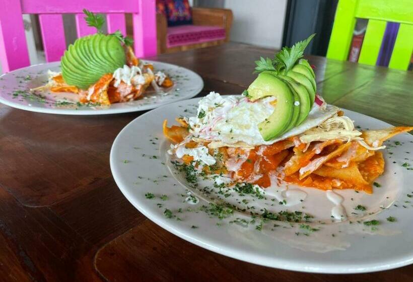 ホテル & Suites Cerro Roj0