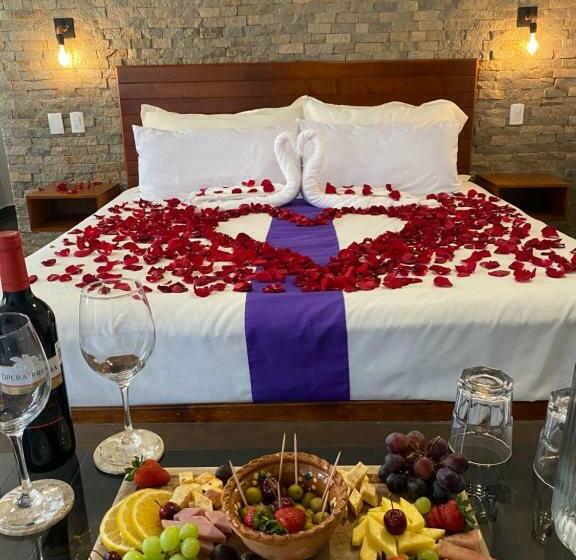 ホテル & Suites Cerro Roj0