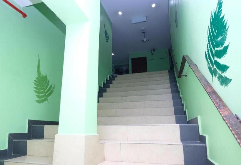 בית מלון כפרי The Fern Lodge