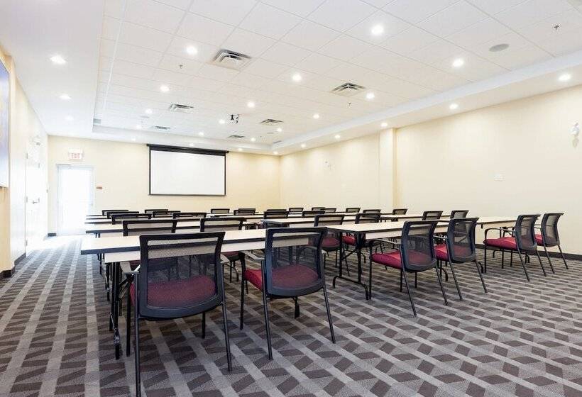 בית מלון כפרי Towneplace Suites By Marriott Edmonton South