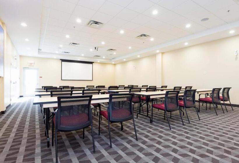 בית מלון כפרי Towneplace Suites By Marriott Edmonton South