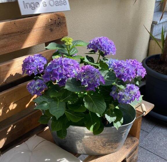 Пансион Gästehaus Und Ferienwohnung Bächle