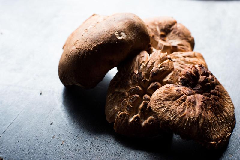 ريوكان Yamada Bessou くつろぎの温泉宿 山田別荘