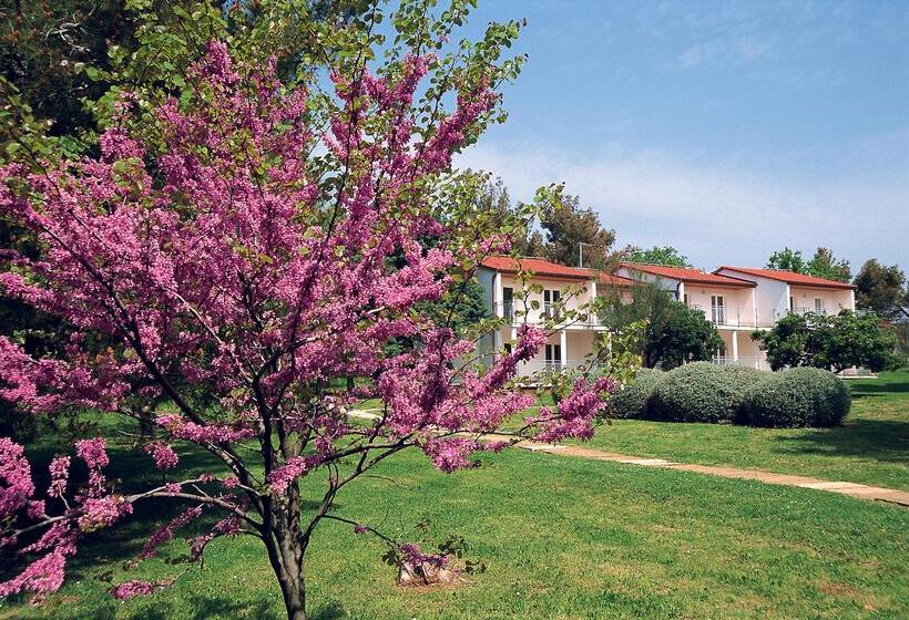 酒店 Ai Pini Medulin Resort