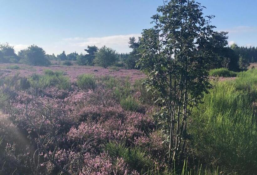 ベッドアンドブレックファースト Manoir D Avray Beaujolais