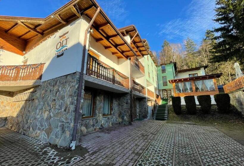 צימר Pensiunea Olt Centrum/ Olt Centrum Panzió