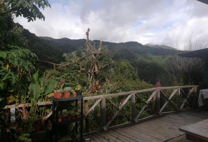 Cabañas San Gerardo