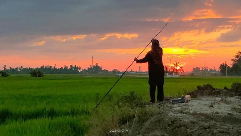 Отель Bungalow Mat Hj Limah