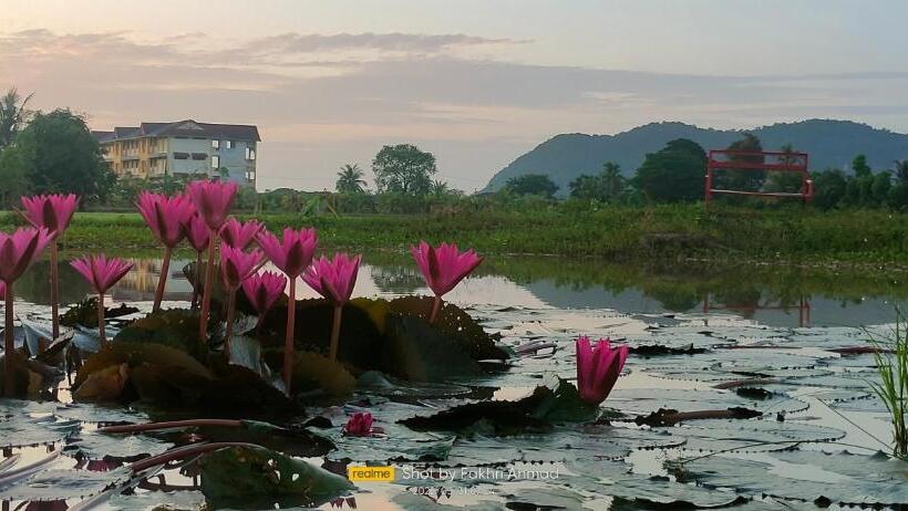 Отель Bungalow Mat Hj Limah