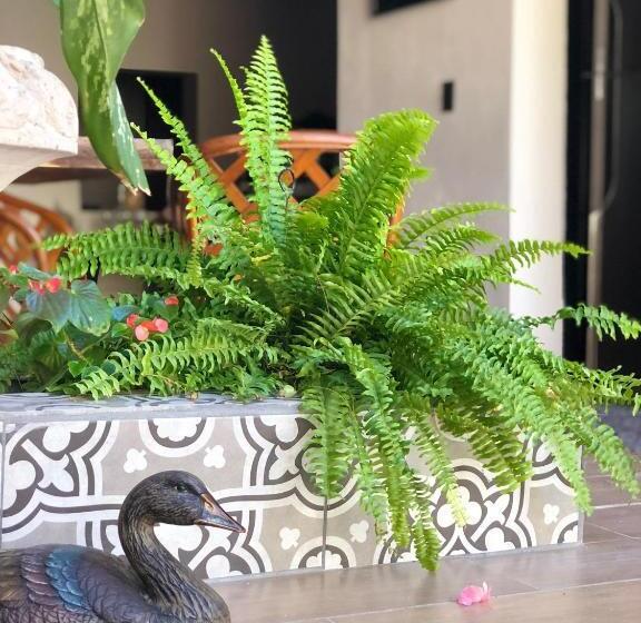 בית מלון כפרי The Place Penthouse