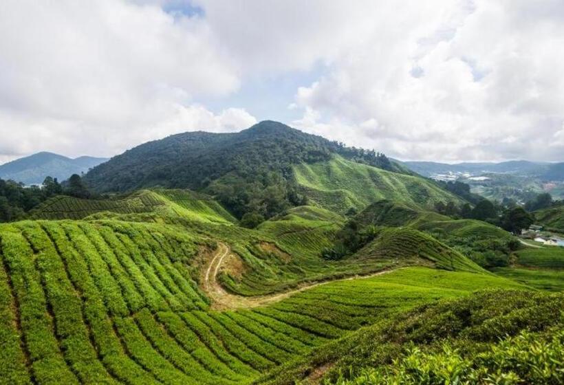 Netasha Holiday Inn And Apartment