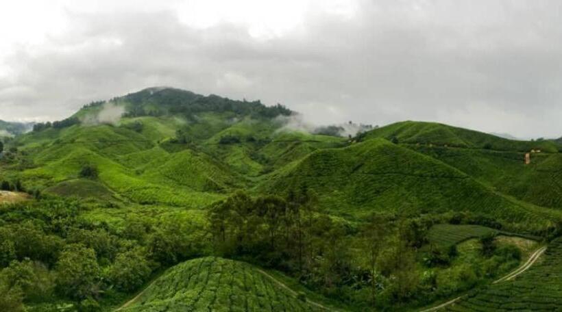 Netasha Holiday Inn And Apartment