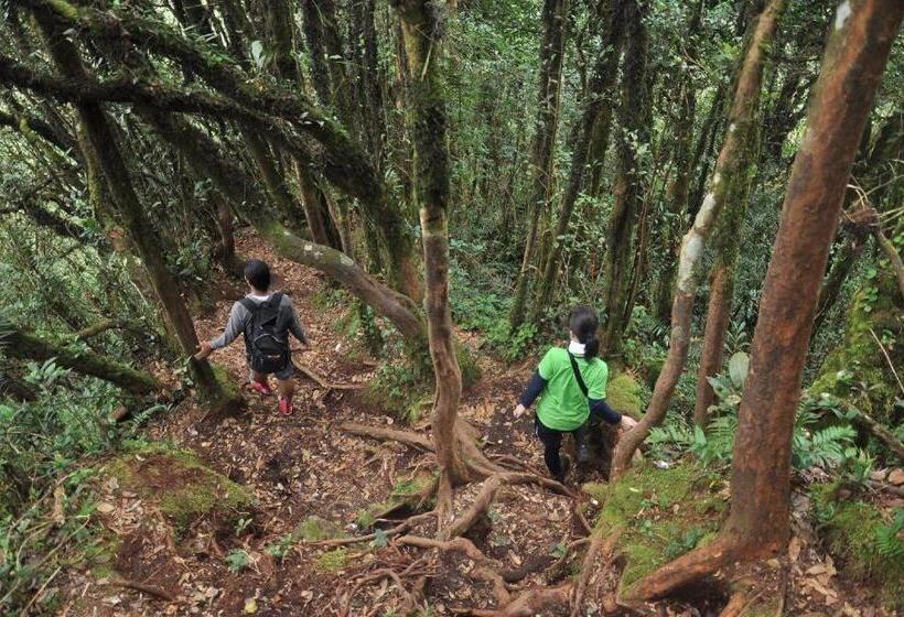 Netasha Holiday Inn And Apartment