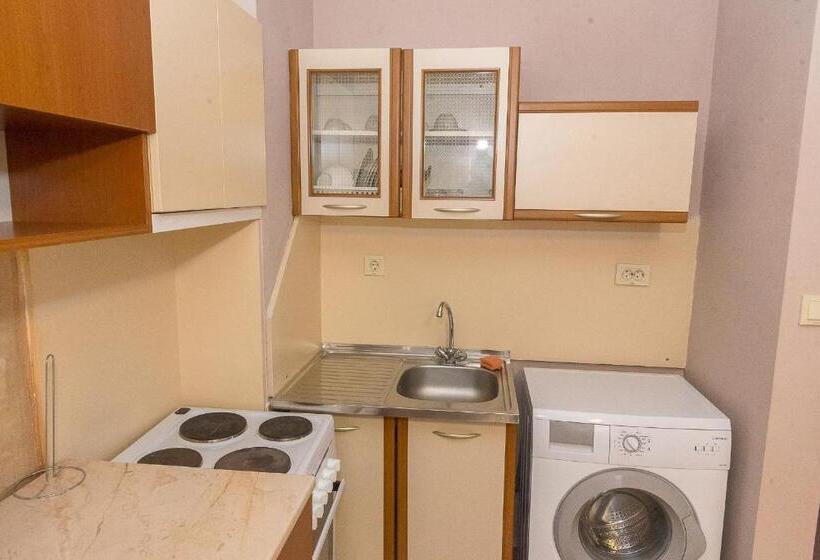 膳宿费 къща за гости мони