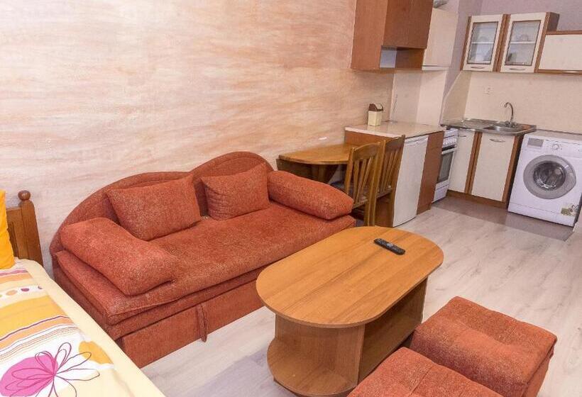 膳宿费 къща за гости мони