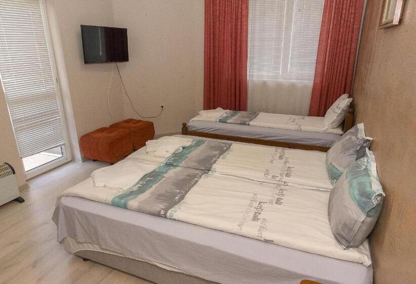 膳宿费 къща за гости мони