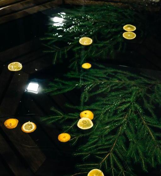 Pensionat ехо тростяну