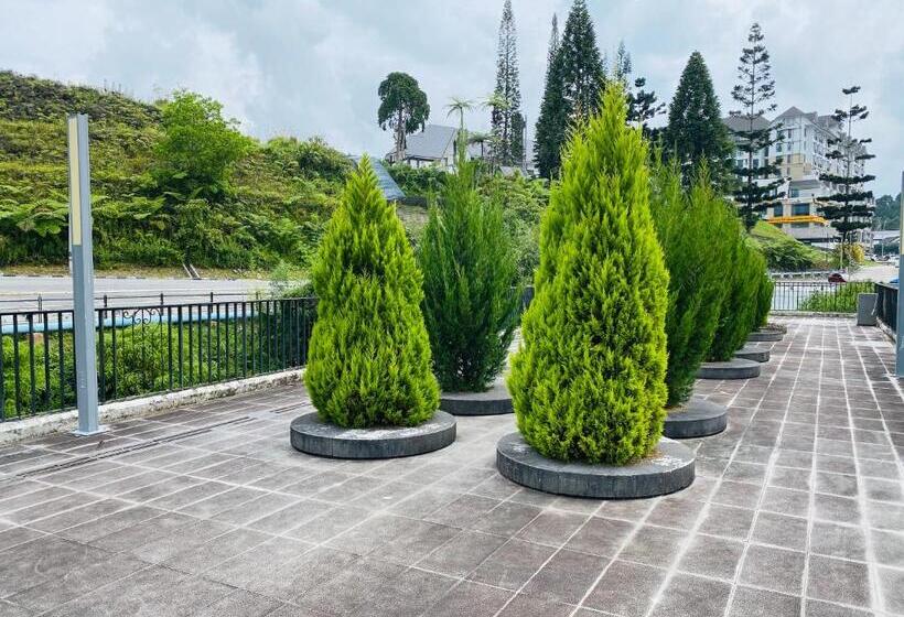 פנסיון 100 Oastel Coliving