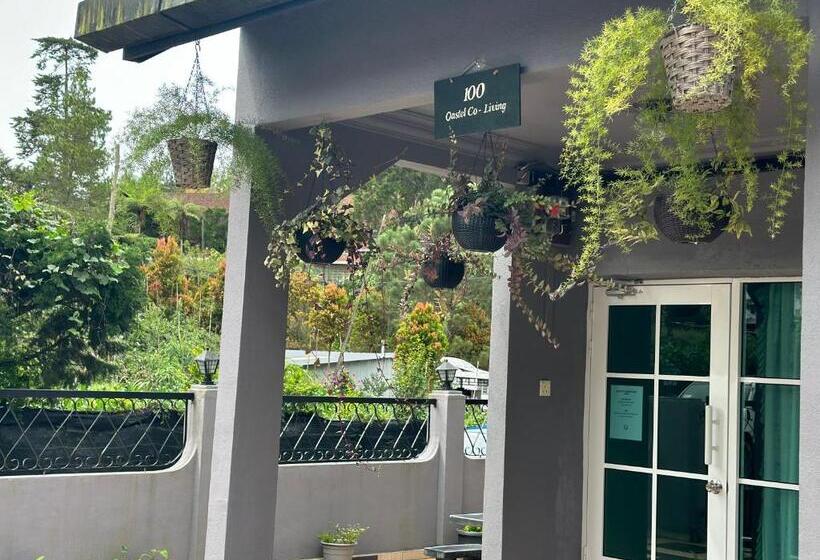 פנסיון 100 Oastel Coliving