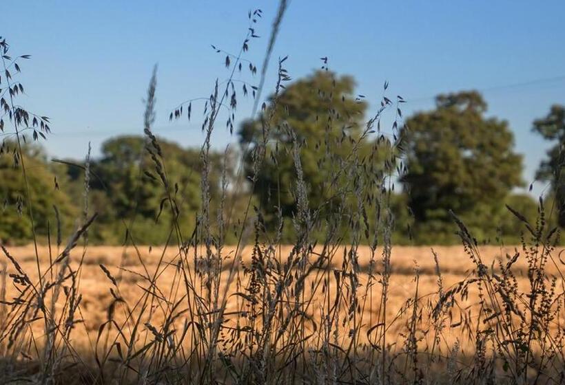 膳宿费 Gîte De Charme La Cour Souveraine