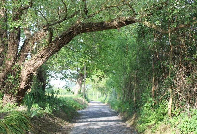 膳宿费 Gîte De Charme La Cour Souveraine