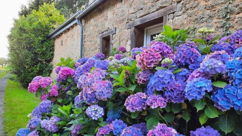 بنسيون Le Verger De Kermauny