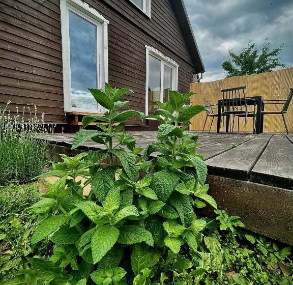 پانسیون Plateliai Samogitia Barn