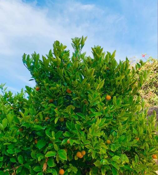 پانسیون Remodeled Contemporary Guest Suites House In Mira Mesa,san Diego,near La Jolla,del Mar, Rancho Santa