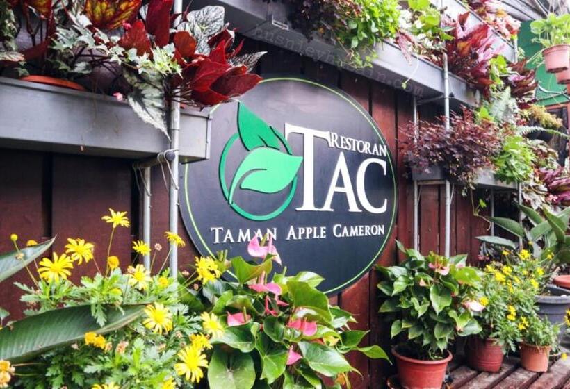 بنسيون Studio Cameron Highlands Mikayla