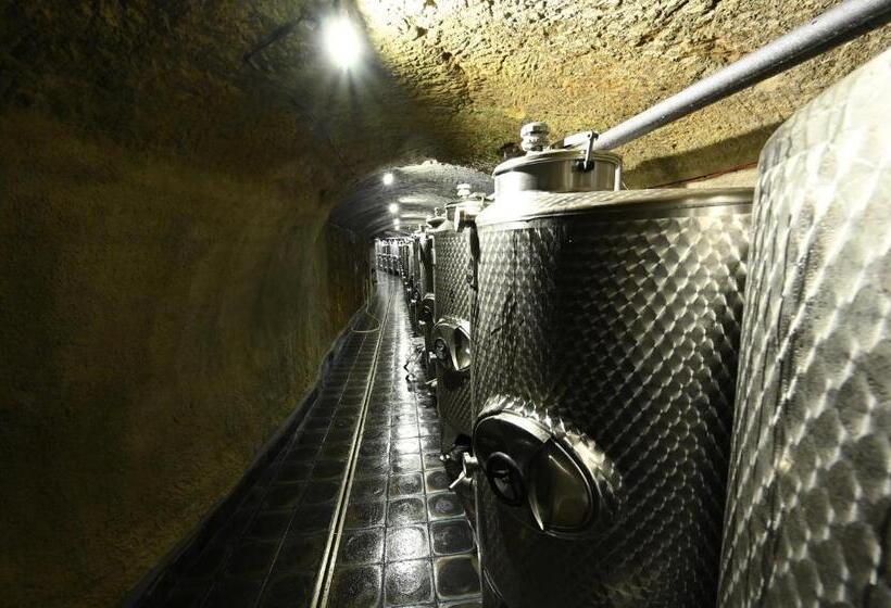 膳宿费 Valečská Pálenice