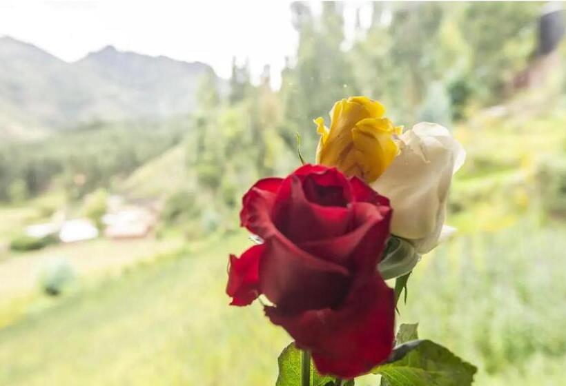 Пансион Wolf Totem Industrial Chic Studio