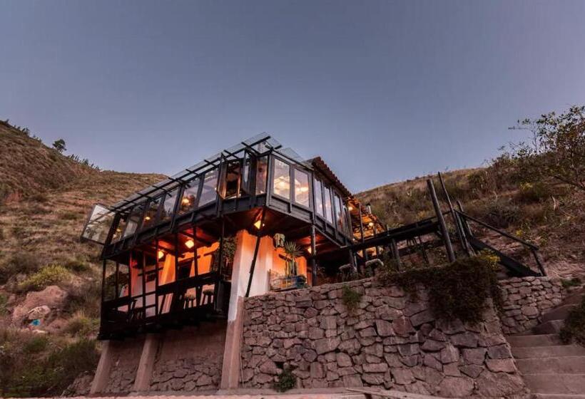 Пансион Wolf Totem Industrial Chic Studio