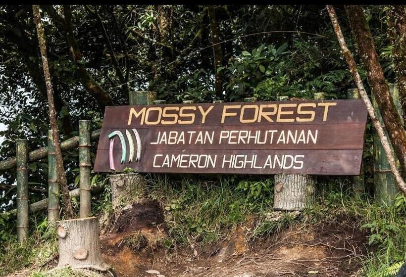 فندق صغير Amy Home Moonlight Apartment