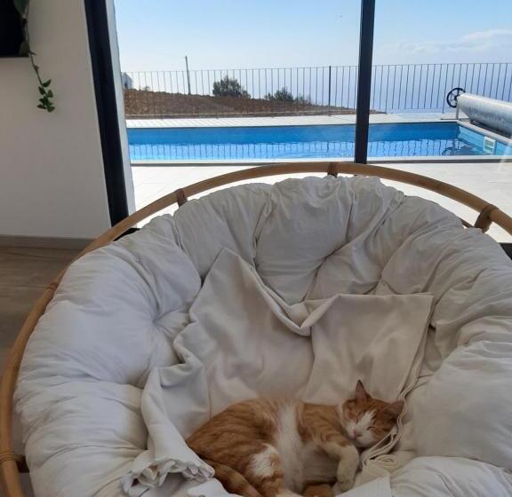 Bed and Breakfast Casa Dos Avós