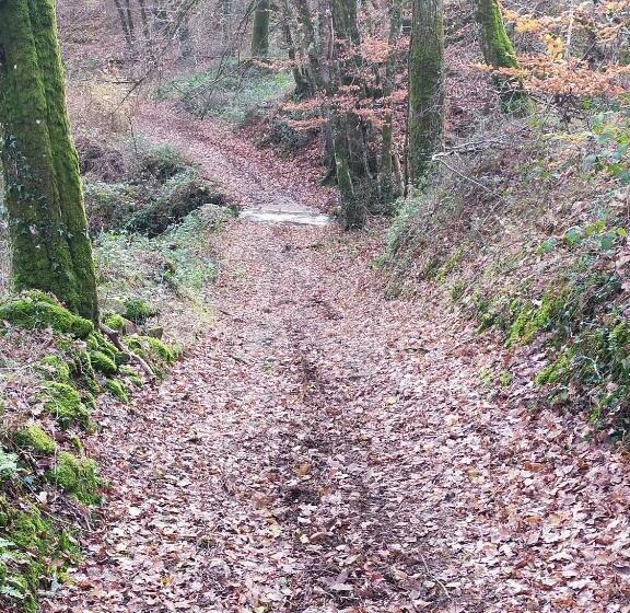 住宿加早餐 Chambre D Hôtes Se Sentir Libre Noisette