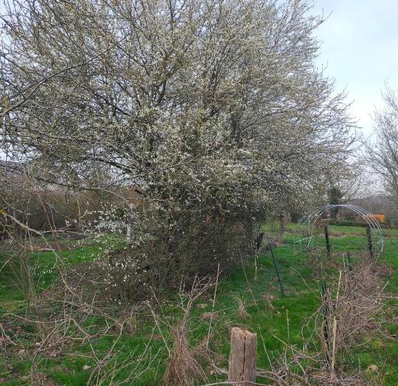 住宿加早餐 Chambre D Hôtes Se Sentir Libre Noisette