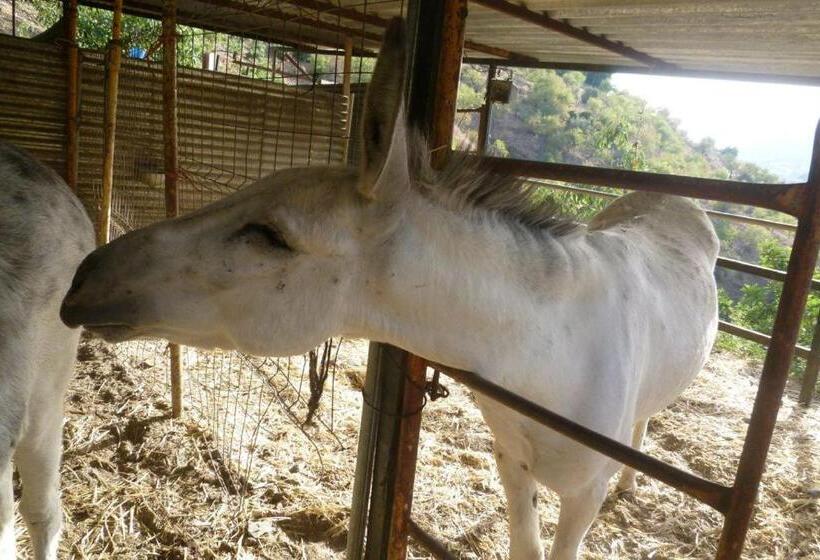 مبيت وإفطار Finca Los Burros