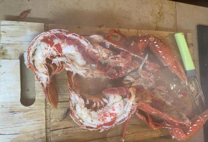 צימר Herdade De Santa Maria