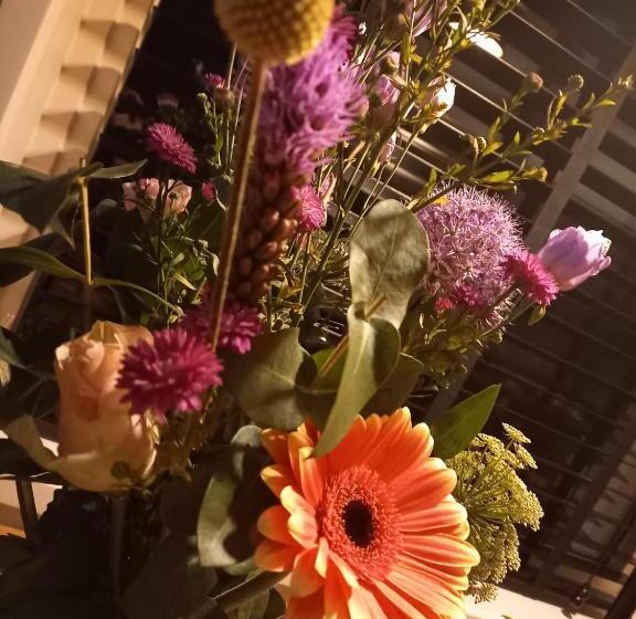 Bed and Breakfast Jantje Slot Hoeve