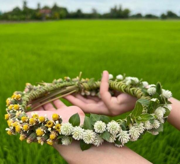 Bed and Breakfast Kratomrimtung Homestay กระท่อมริมทุ่งโฮมสเตย์