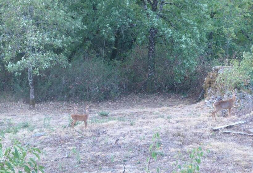 住宿加早餐  Louradou Sur Ciel