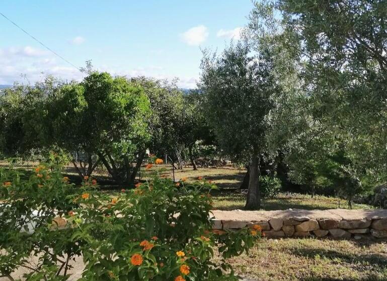 مبيت وإفطار Vila Alegria Ch2