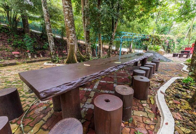 Bentong Eco Wellness Resort 14room 69pax By Verano Homestay