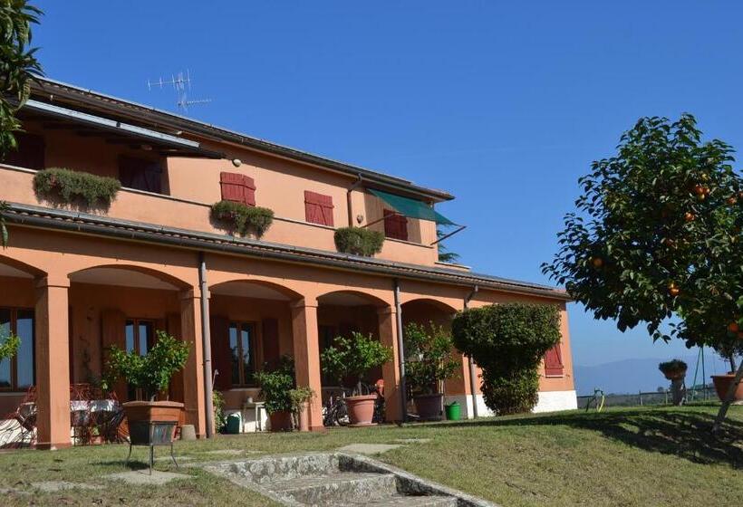 Отель Agriturismo Le Forre Del Treja