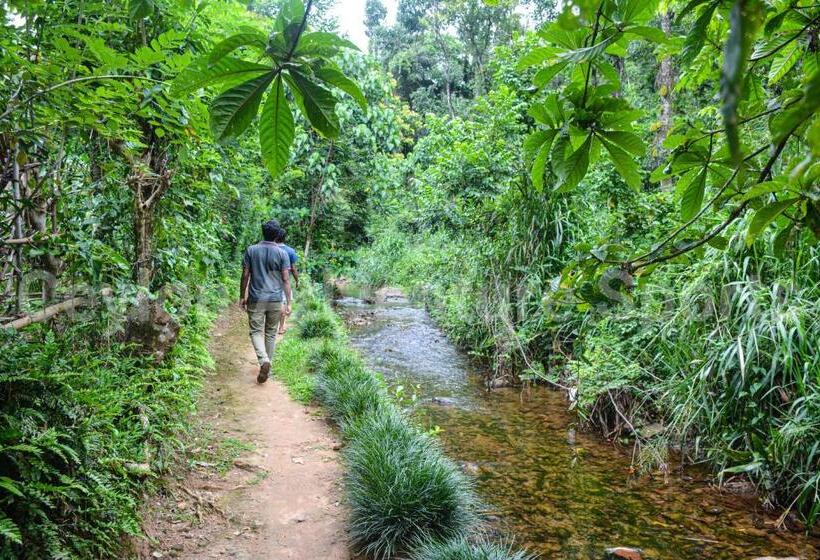 ホテル Ceylon Adventure Sports