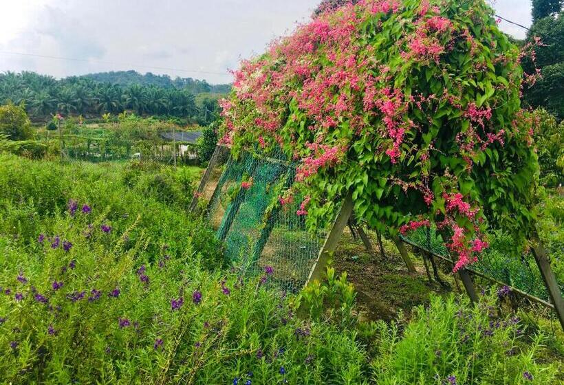 Отель Durian Ecolodge