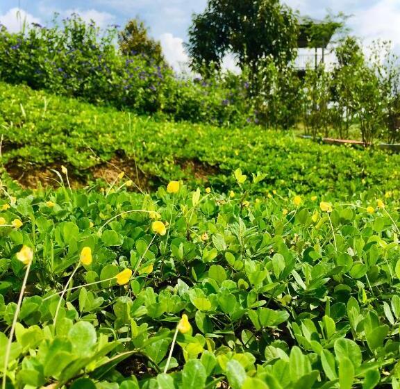 Отель Durian Ecolodge