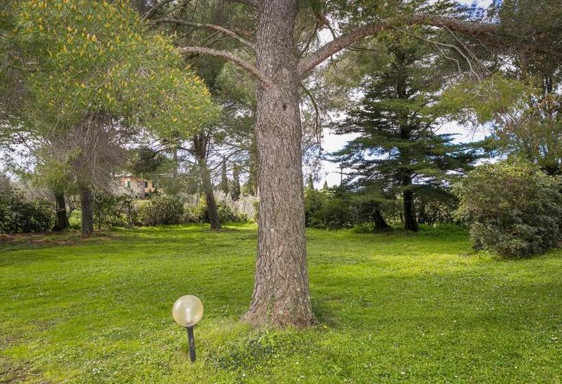 酒店 Il Nazareno   Il Coppaio